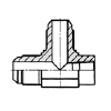 Ljjn